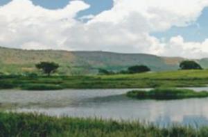 Humedal del Pantano